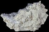 Purple/Gray Fluorite Cluster - Marblehead Quarry Ohio #81194-1